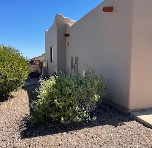 Mnt Foothills Saguaro Bliss Tucson