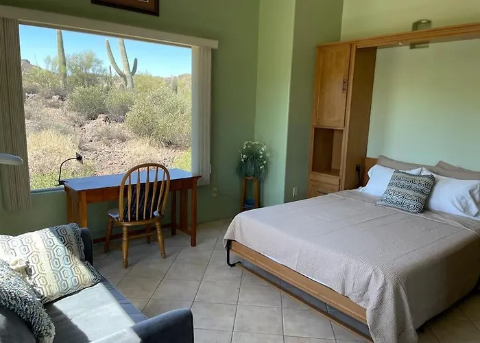 Mnt Foothills Saguaro Bliss *