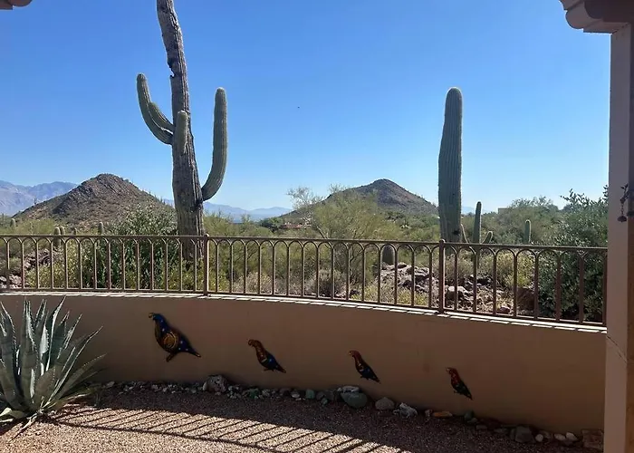 Mnt Foothills Saguaro Bliss * Tucson