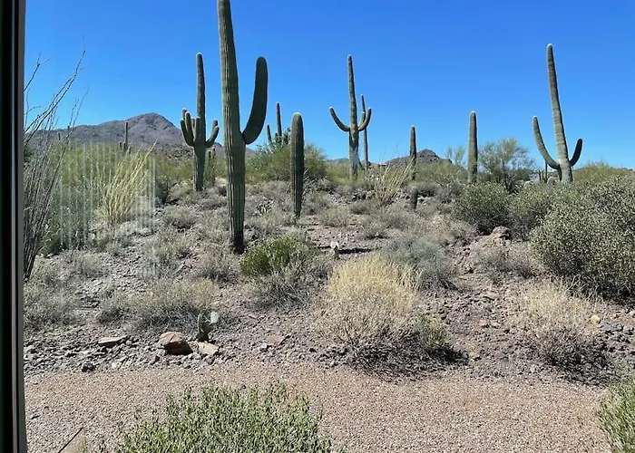 Mnt Foothills Saguaro Bliss Ferienhaus Tucson