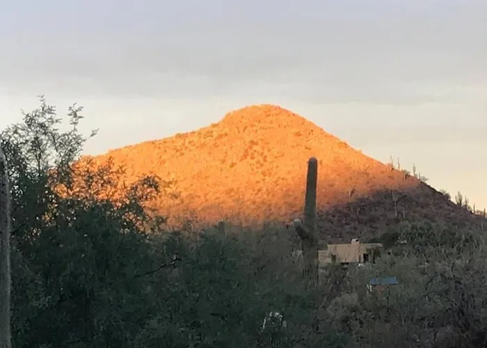 Mnt Foothills Saguaro Bliss *