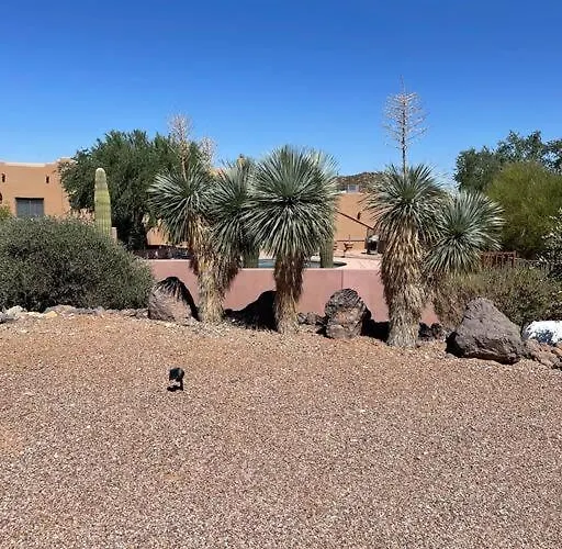 Mnt Foothills Saguaro Bliss Ferienhaus Tucson