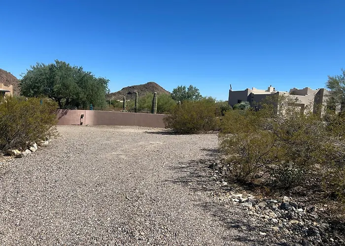 Mnt Foothills Saguaro Bliss Tucson